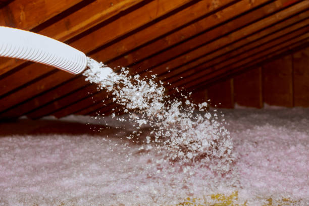 Best Blown-In Insulation  in Naples, FL