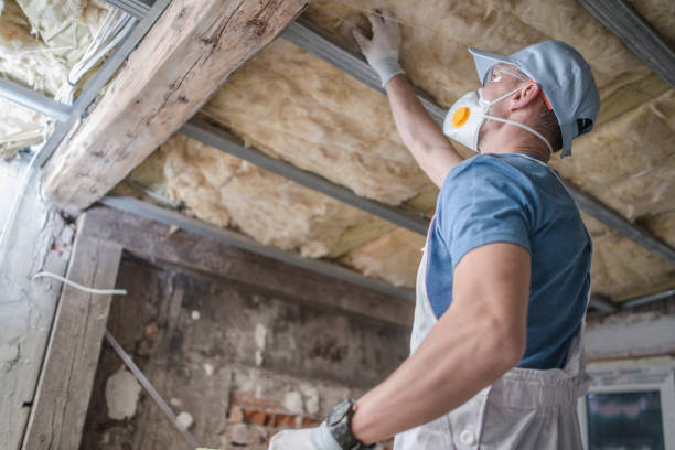 Best Batt and Roll Insulation  in Naples, FL