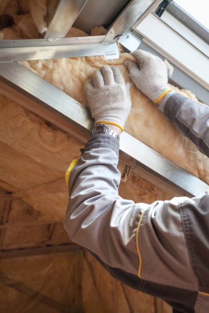 Best Insulation for New Construction  in Naples, FL