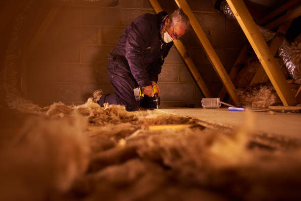 Best Crawl Space Insulation  in Naples, FL