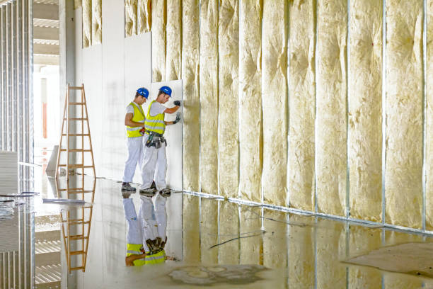 Best Wall Insulation Installation  in Naples, FL